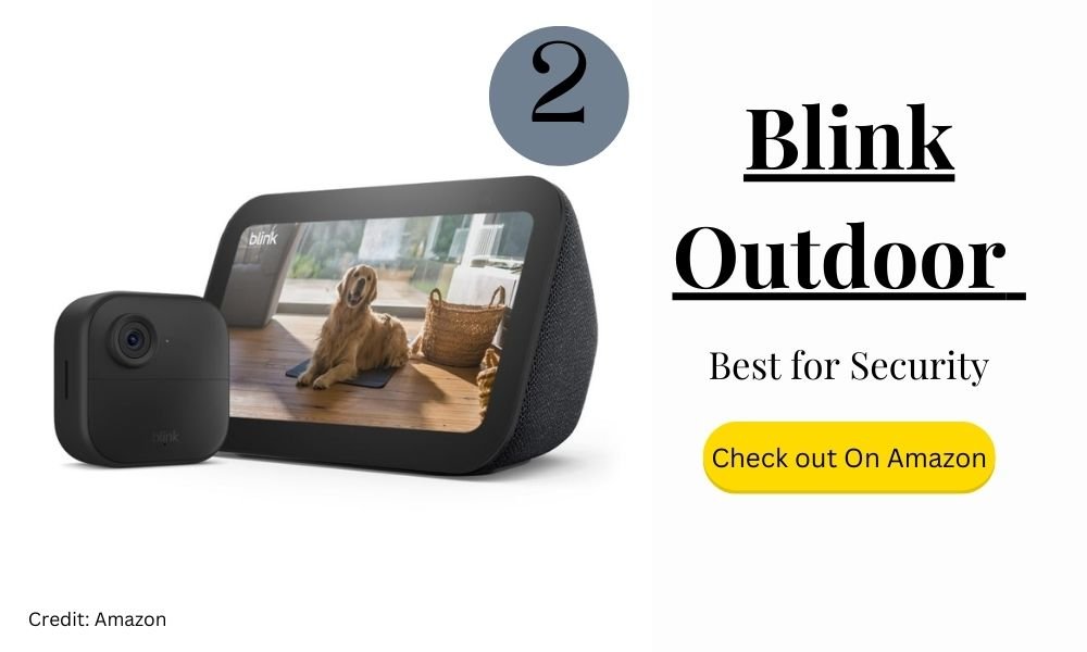 Pet camera with motion detection feature, alerting pet owners to unusual pet activity